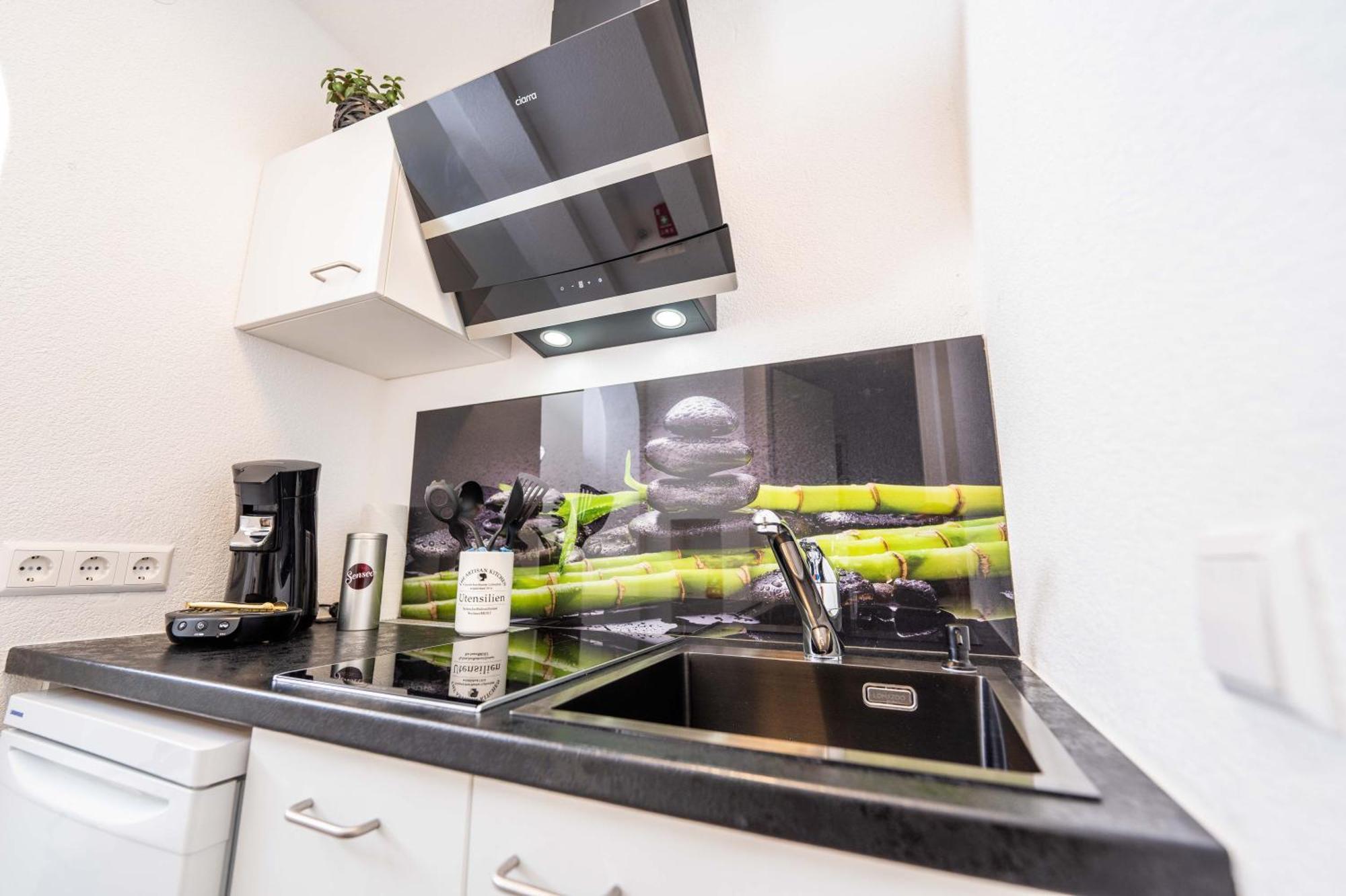 City Apartments Fn L7 Klimatisiert-Mit Kueche フリードリヒスハーフェン エクステリア 写真